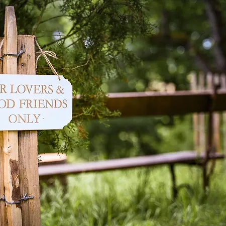 Gascon, 4 Etoiles Avec Piscine, Hammam & Sauna Holiday home Marsolan